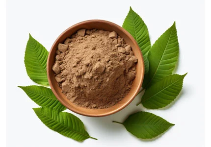  Sinemaki otu ekstrakt tozu (Senna extract powder)